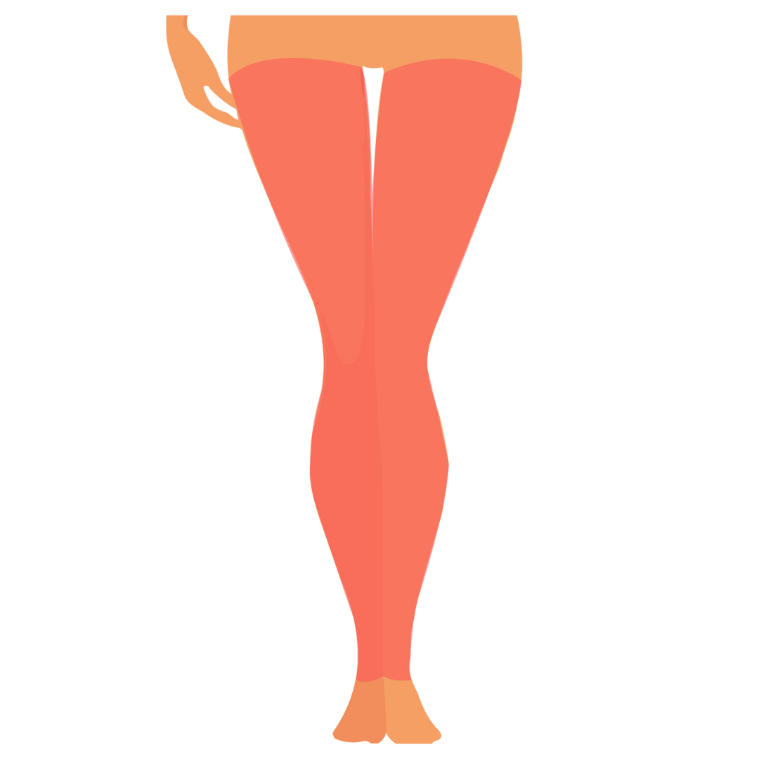 Piernas Completas