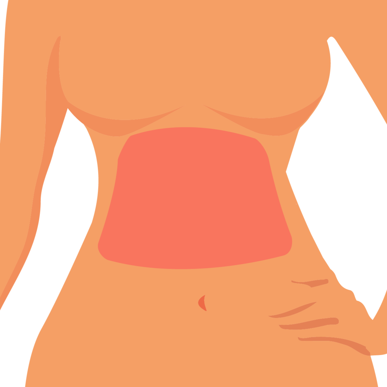 Abdomen
