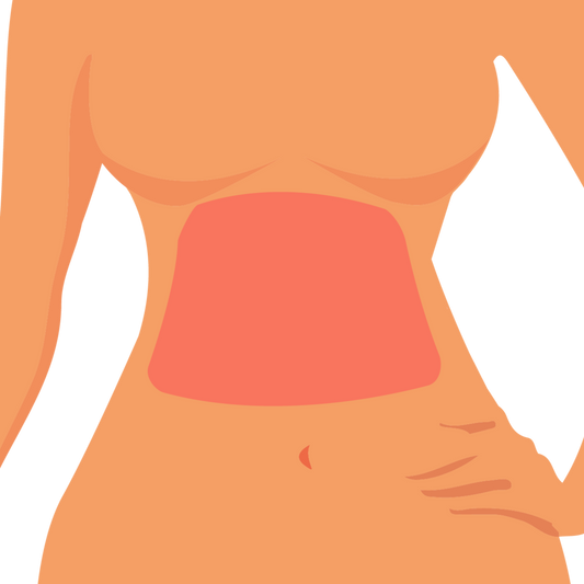 Abdomen
